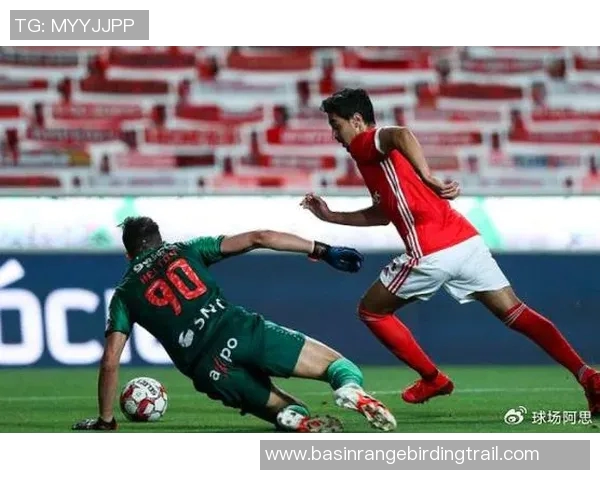 阿维斯主场迎战本菲卡双方争夺积分巅峰对决即将上演