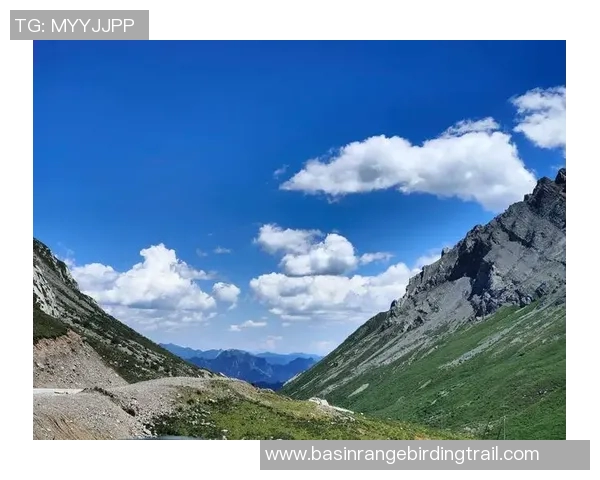 探索阿拉巴的魅力与文化遗产，感受独特的风土人情与自然风光